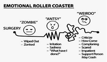 emotional roller coaster emotional roller coaster